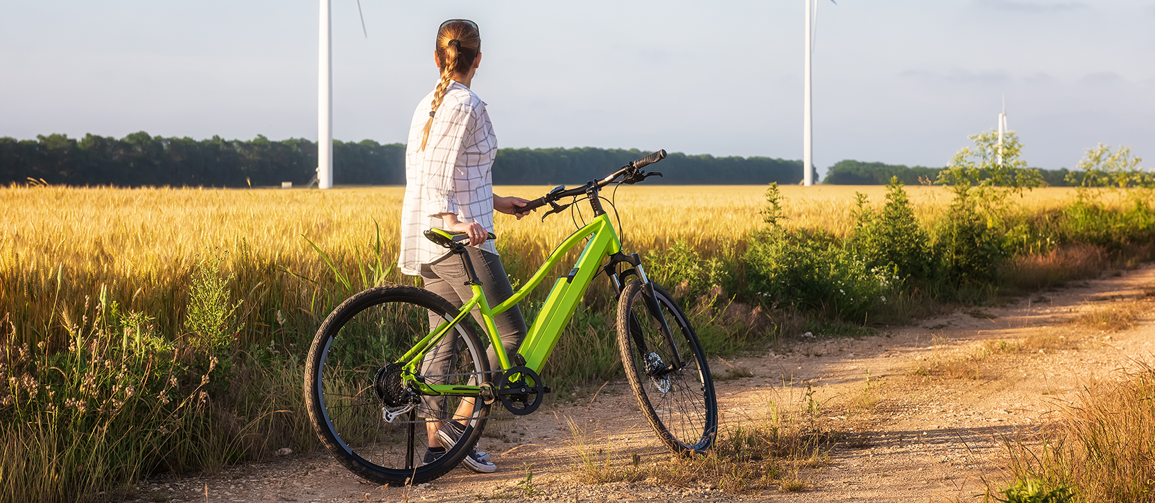 Bici elettriche